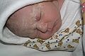 P6238902
